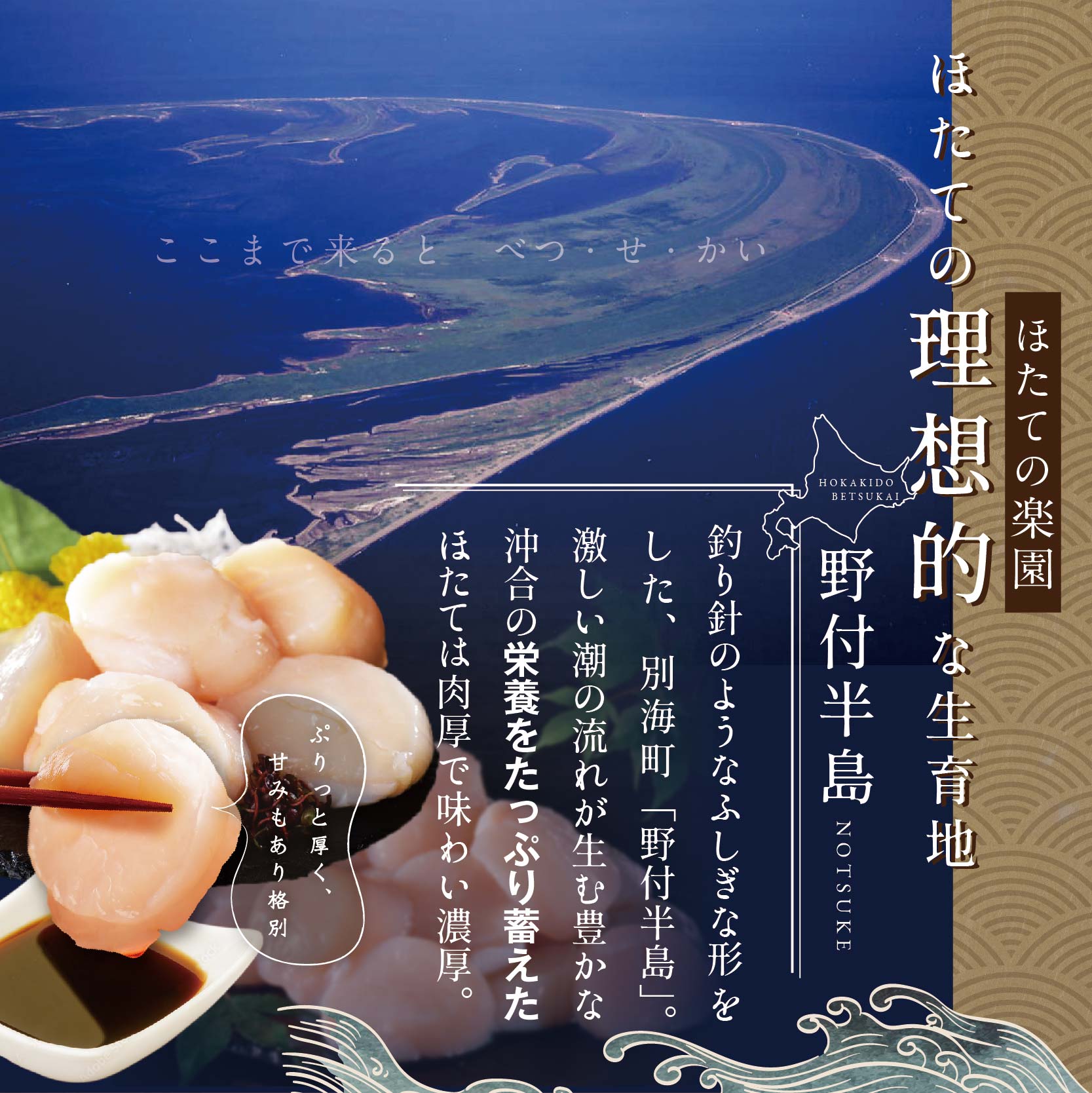 北海道 野付産 特大ホタテ1kg | 北海道別海町 | JRE MALLふるさと納税