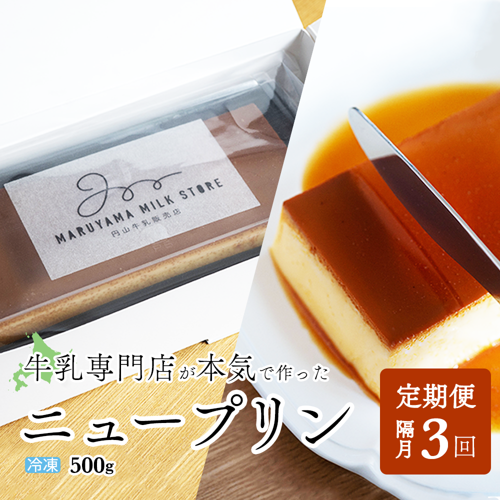 【隔月定期便】濃厚プリン　New Pudding（ニュープディング）（500g×1本）×3回【be152-0931-200-3】