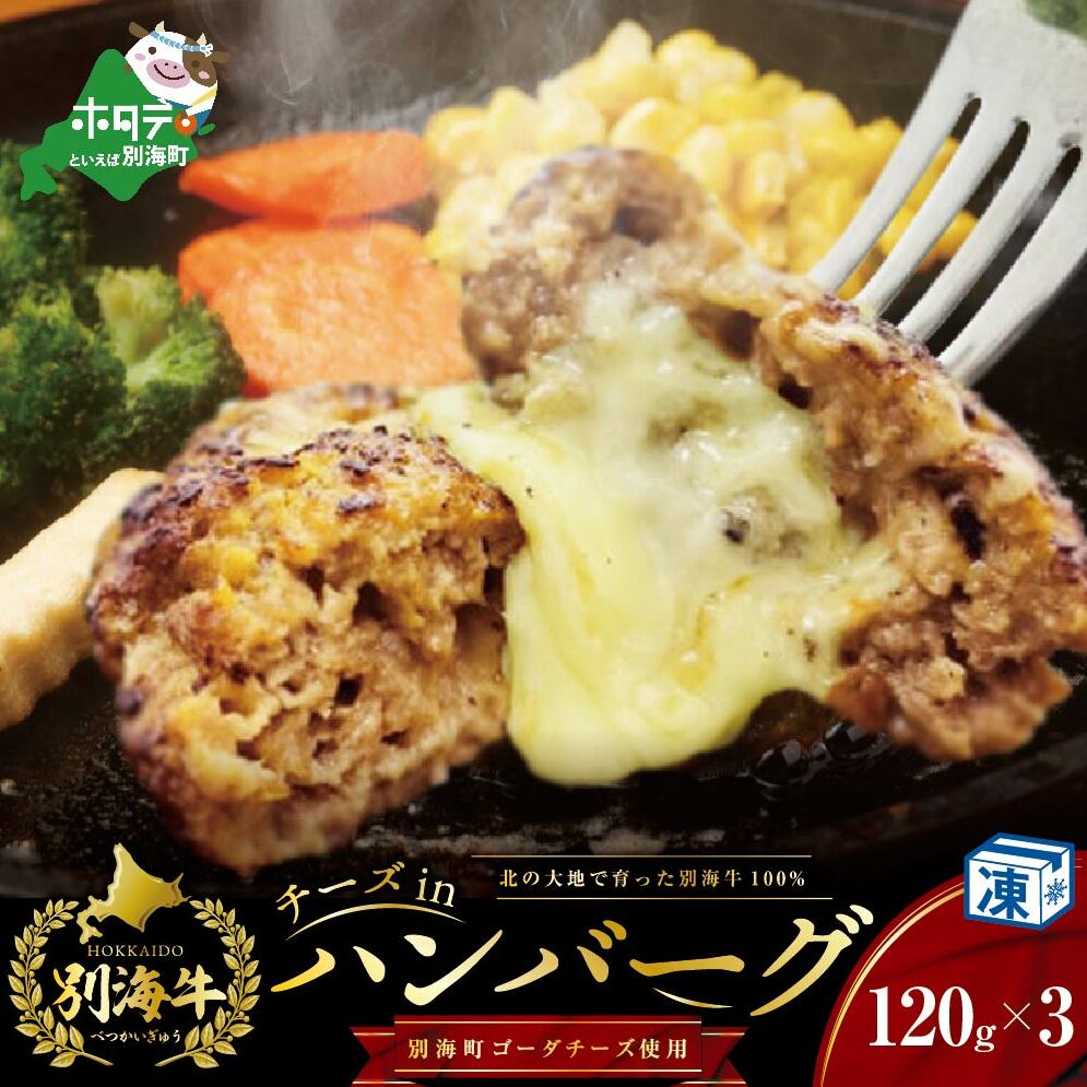 チーズインハンバーグ(120g×3個)