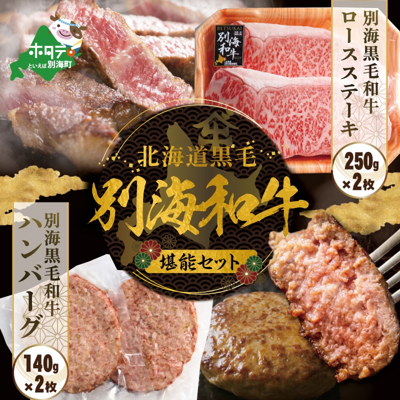 別海和牛 ロースステーキ (250g×2)+ハンバーグ (140g×2)[別海和牛]FF0000014