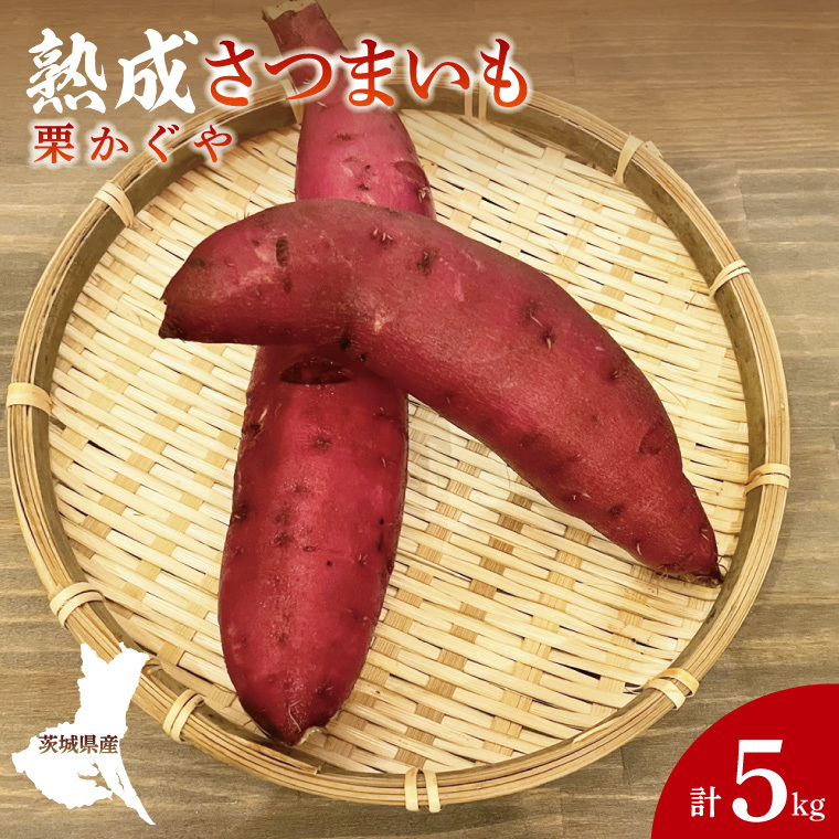 【先行予約】【10月中旬より順次発送予定】熟成さつまいも 栗かぐや 5kg|茨城県 大子町 サツマイモ 芋 甘い ホクホク 野菜 数量限定 5キロ 旬(CH004)