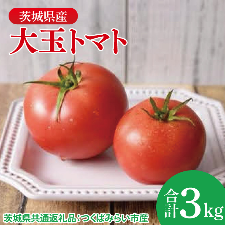 大玉トマト 3kg(茨城県共通返礼品:つくばみらい市産)|トマト 大きい 野菜 夏野菜 数量限定 つくばみらい市産 共通返礼品 茨城県 大子町(CD148)