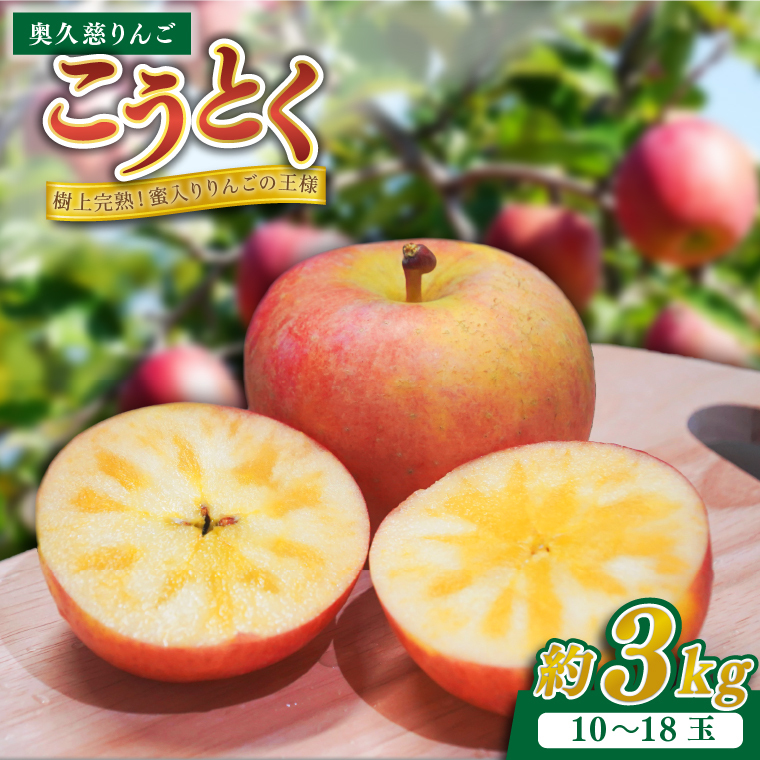 【数量限定/先行予約】樹上完熟の奥久慈りんご「こうとく」約3kg（10～18玉）【2025年10月下旬頃より順次発送予定】斉藤りんご園第2直売所｜茨城県 大子町 林檎 果物 フルーツ 旬 プレミアム(CG014)