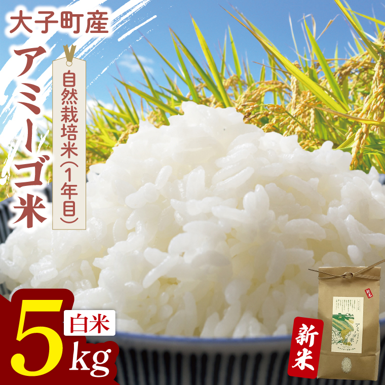 【先行予約】【11月中旬より順次発送予定】令和7年産 新米 5kg アミーゴ米 【白米】（コシヒカリ・天日干し米・自然栽培米 （1年目））｜茨城県 大子町 袋田 米 精米 おだがけ米 はざがけ米 いねかけ米 先行予約 農福連携 5キロ ミネラル成分（CA016)