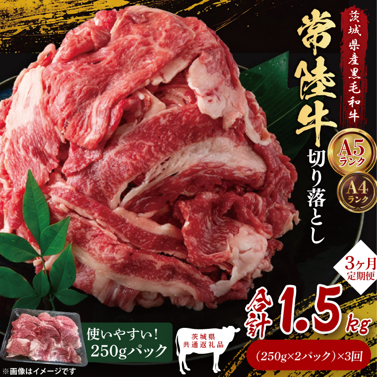 【茨城県共通返礼品】【3ヶ月定期便】常陸牛切り落とし500g（250g×2）｜ブランド牛 銘柄牛 和牛 黒毛和牛 国産 A5・A4ランク 等級 お肉 牛肉 牛丼 すき焼き 炒め物 小分け 定期 3回 毎月 茨城県 大子町（DD007）