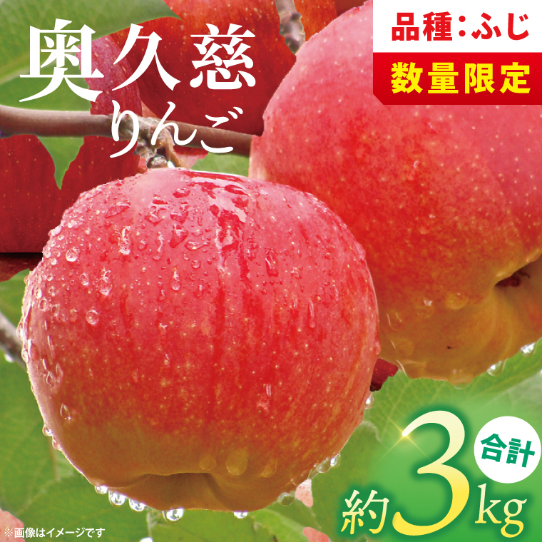 【数量限定】【11月より順次発送予定】三村観光りんご園の奥久慈りんご「ふじ」約3kg｜茨城県 大子町 林檎 旬 果物 フルーツ 果実 果汁 ギフト 贈答 甘い ジューシー みずみずしい（BX009）