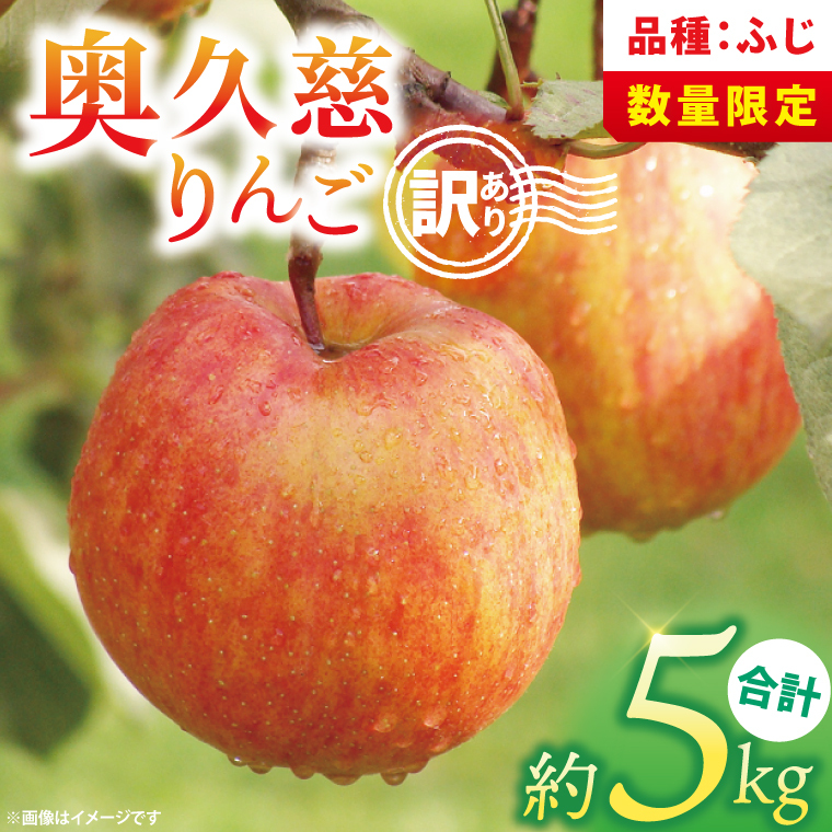 【訳あり】【11月より順次発送予定】三村観光りんご園の奥久慈りんご「ふじ」約5kg｜不揃い 規格外 傷あり 色むら 家庭用 茨城県 大子町 林檎 旬 果物 フルーツ 果実 フルーツ 甘い ジューシー みずみずしい(BX012)