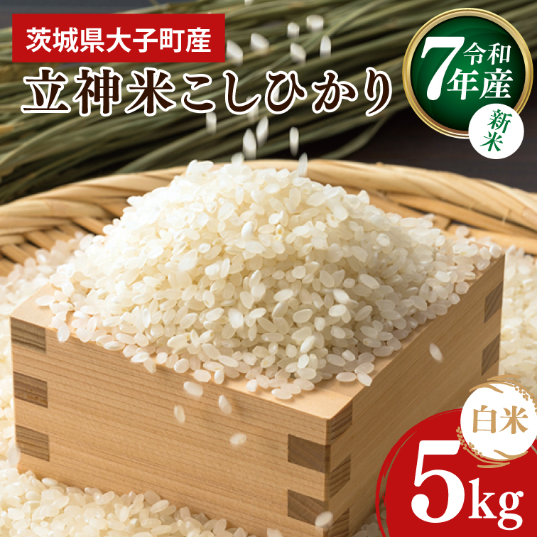 【新米】令和7年産 立神米こしひかり(白米)5kg|茨城県 大子町 コシヒカリ 米 コンテスト 受賞 生産者 大子産米 産地直送(BT067)