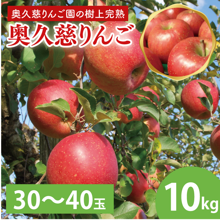 【数量限定・先行予約】【2025年9月中旬頃発送開始予定】奥久慈りんご園の樹上完熟 奥久慈りんご 10kg（30～40玉）(AI004-1)