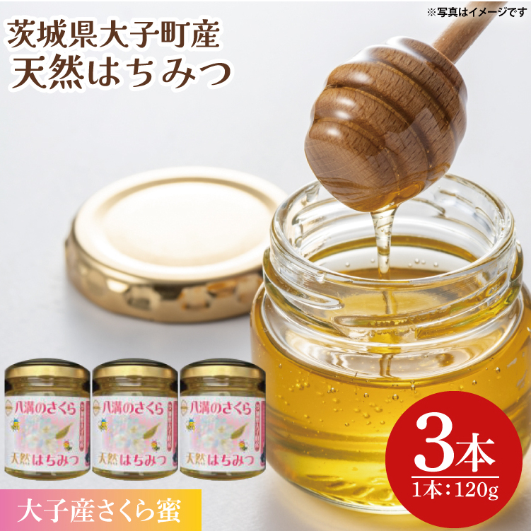 【2025年10月~2026年4月発送】天然はちみつ【大子のさくら蜜 120g×3本セット】 ハニー 大子産 国産 ハチミツ(BG004)