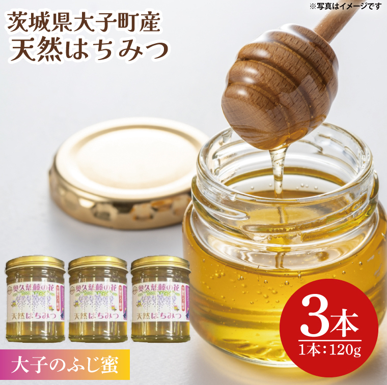 【2025年10月~2026年4月発送】天然はちみつ【大子のふじ蜜 120g×3本セット】 ハニー 大子産 国産 ハチミツ(BG002)