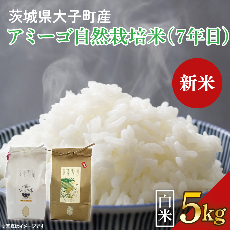 【新米先行予約】【2025年11月中旬頃順次発送予定】令和7年産 新米 5kg アミーゴ米 【白米】（コシヒカリ・自然栽培米（7年目）・天日干し米）｜茨城県 大子町 米 精米 おだがけ米 はざがけ米 いねかけ米 先行予約 農福連携 コシヒカリ 白米（CA013）