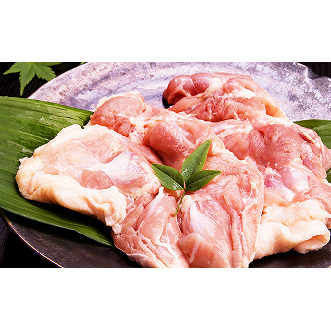 茨城県大子町 ふるさと納税返礼品 奥久慈 しゃも肉 詰め合わせ お肉 鶏肉