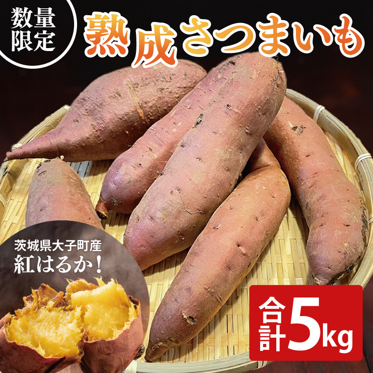 【先行予約】【10月中旬より順次発送予定】熟成さつまいも 紅はるか 5kg|茨城県 大子町 サツマイモ べにはるか 芋 甘い ホクホク 野菜 数量限定 5キロ 旬(CH001)