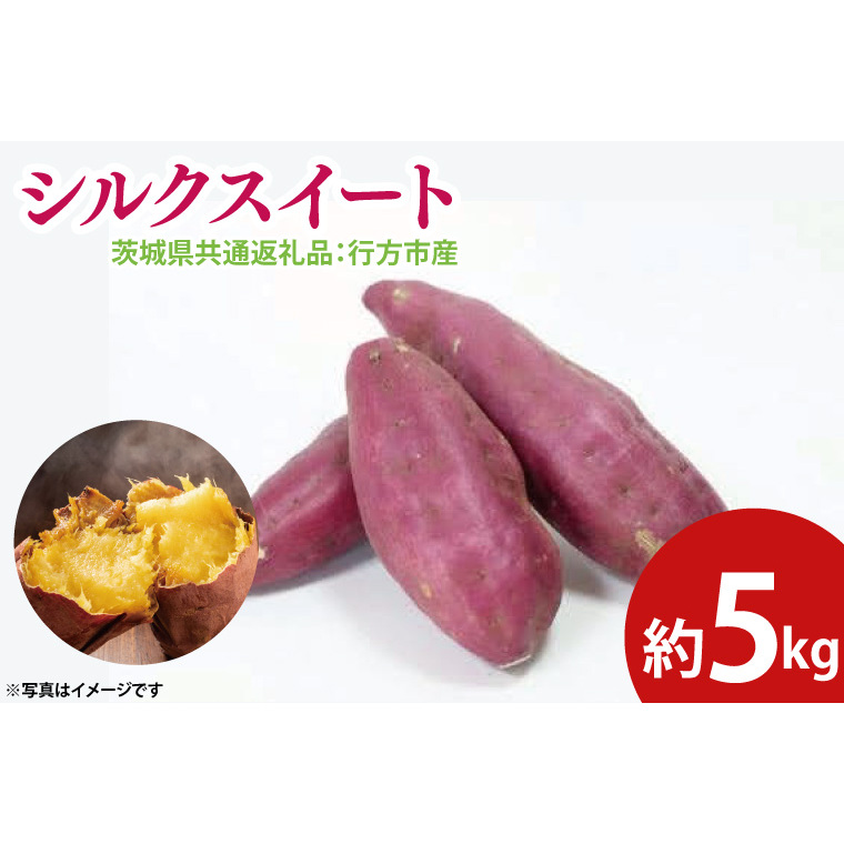 【先行予約】シルクスイート 約5kg(茨城県共通返礼品:行方市産)※2025年10月上旬~2026年3月下旬頃に順次発送予定(CD086)