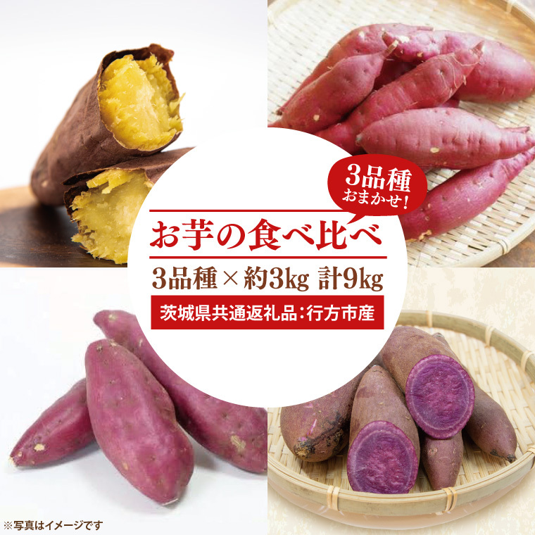 【先行予約】お芋の食べ比べ さつまいも 3品種×約3kg 計9kg(茨城県共通返礼品:行方市産)※2025年10月上旬~2026年3月下旬頃に順次発送予定(CD088)