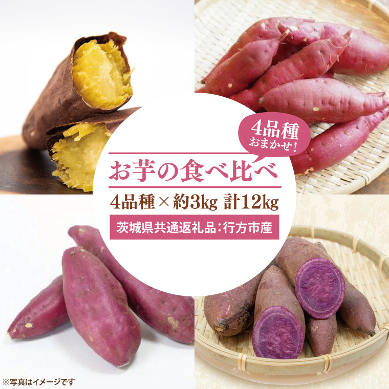 【先行予約】お芋の食べ比べ さつまいも 4品種×約3kg 計12kg(茨城県共通返礼品:行方市産)※2025年10月上旬~2026年3月下旬頃に順次発送予定(CD089)