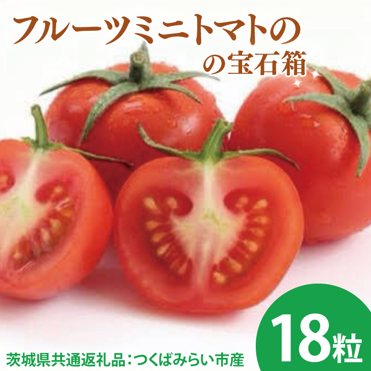 【先行予約】フルーツミニトマトの宝石箱 18粒(茨城県共通返礼品:つくばみらい市産)※2026年1月上旬~3月下旬頃に順次発送予定(CD090)