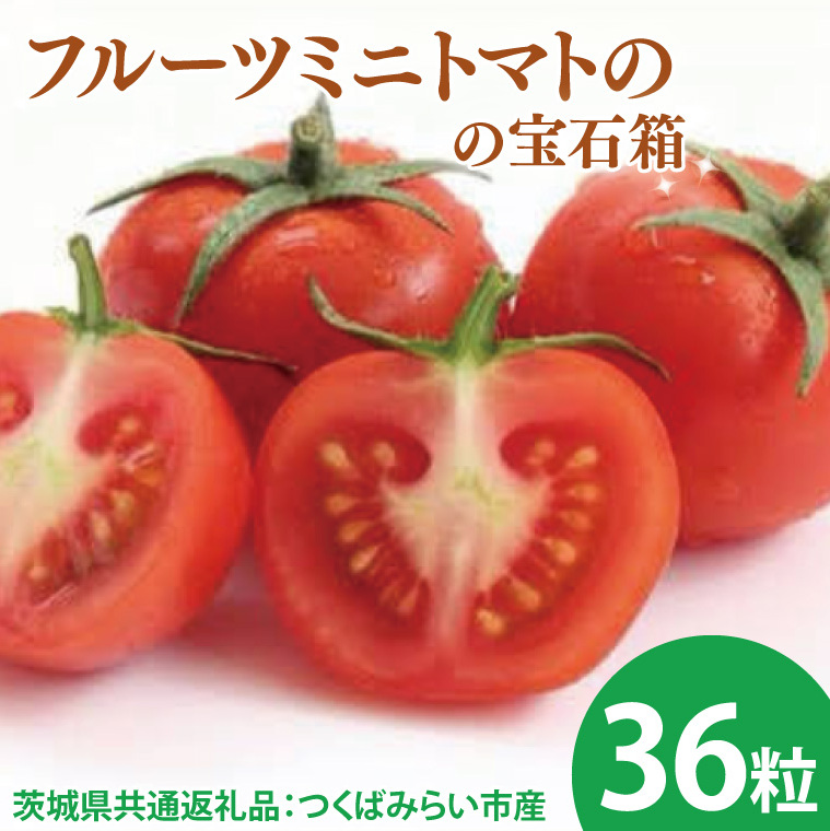 【先行予約】フルーツミニトマトの宝石箱 36粒(茨城県共通返礼品:つくばみらい市産)※2026年1月上旬~3月下旬頃に順次発送予定(CD091)