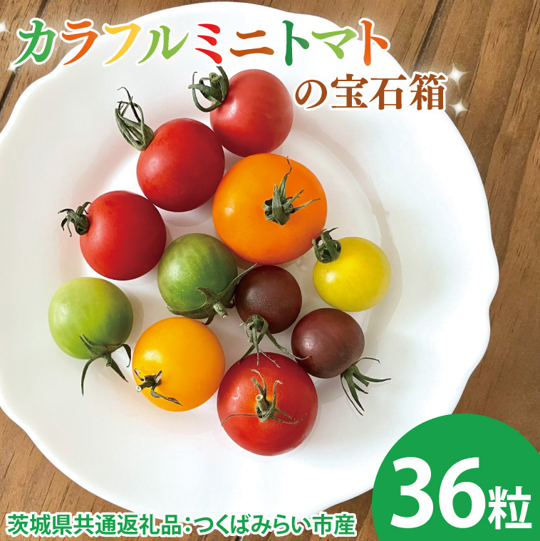 【先行予約】カラフルミニトマトの宝石箱 36粒(茨城県共通返礼品:つくばみらい市産)※2026年1月上旬~3月下旬頃に順次発送予定(CD093)