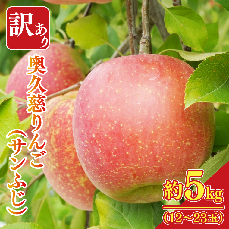【先行予約】【訳あり】樹上完熟の奥久慈りんご「サンふじ」約5kg（12～23玉）【2025年11月上旬頃より順次発送予定】不揃い 規格外 傷あり 色むら 家庭用｜斉藤りんご園第2直売所 茨城県 大子町 林檎 果物 フルーツ 旬（CG011-1）