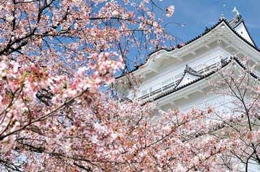 神奈川県小田原市
