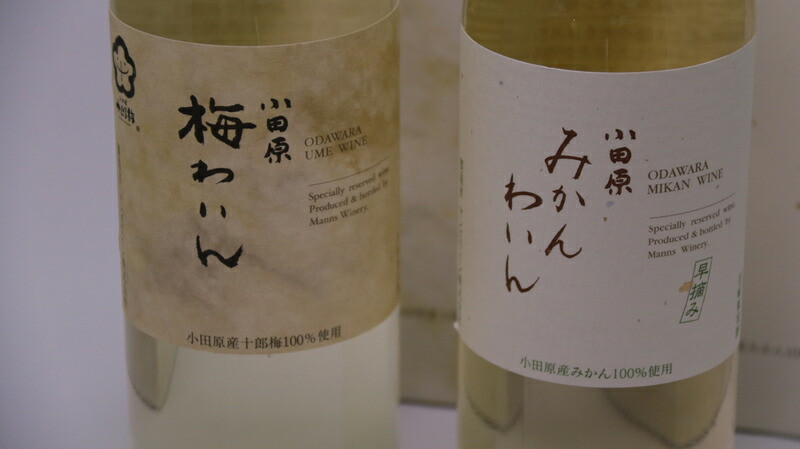 城下町小田原の飲み比べわいんBセット(2本セット)