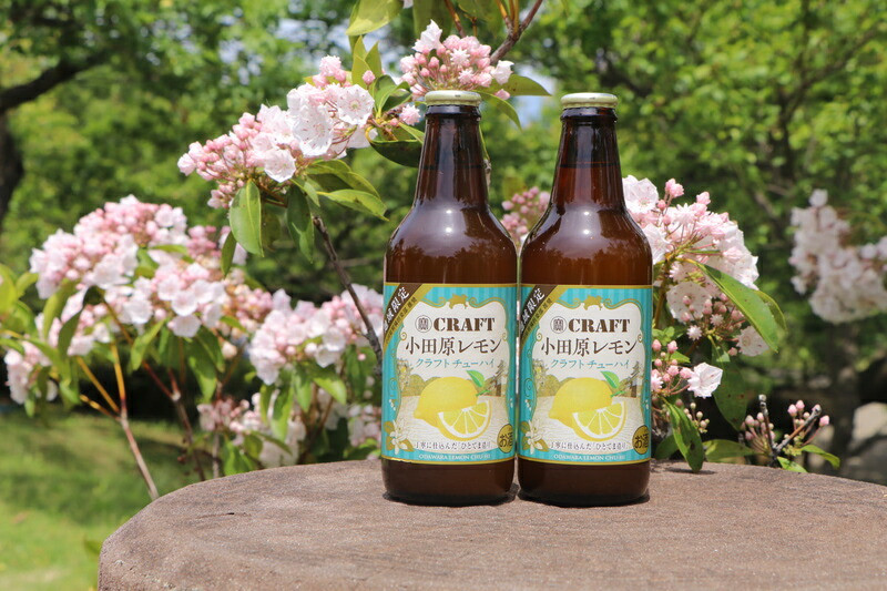 小田原レモンクラフトチューハイ　48本セット