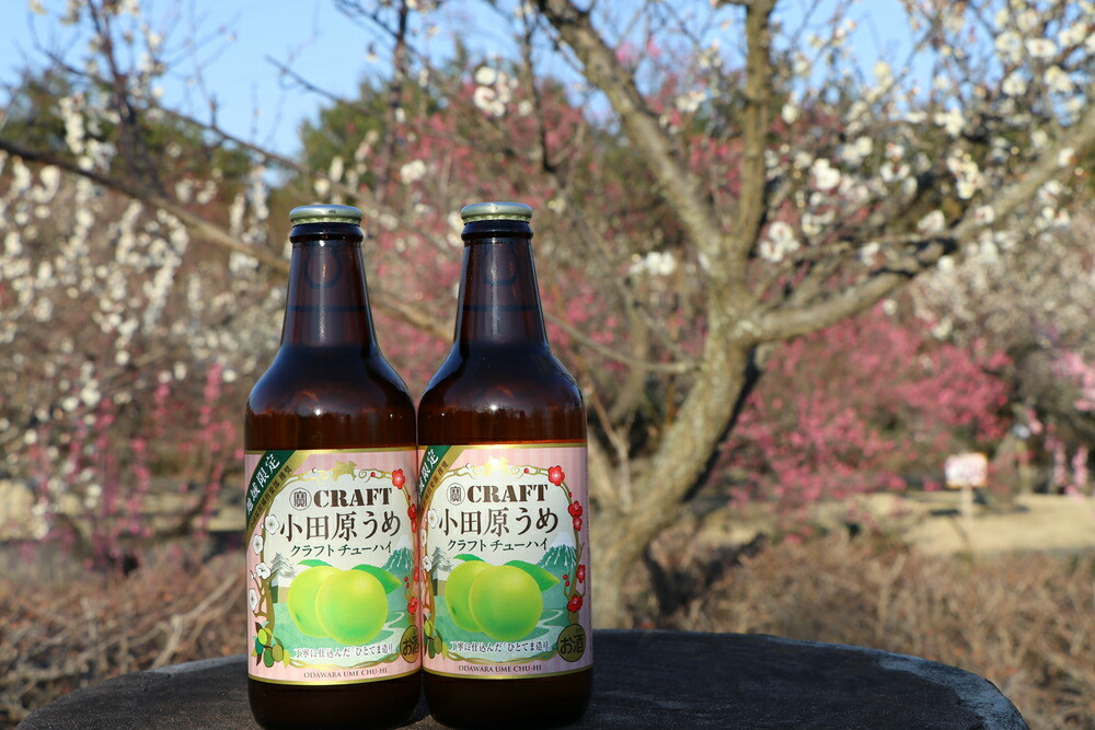 小田原うめクラフトチューハイ　12本セット