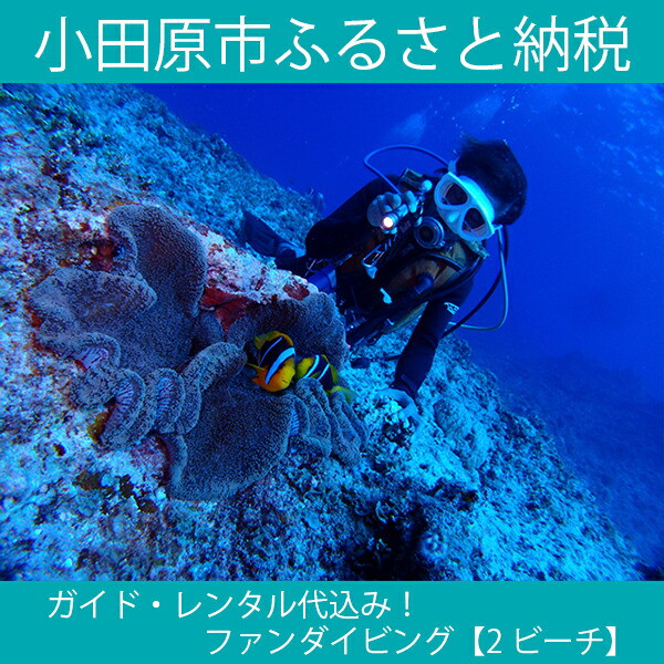 ガイド・レンタル代込み！ファンダイビング【2ビーチ】ご招待券