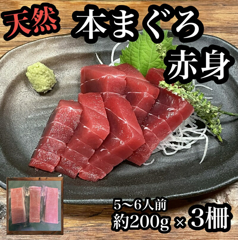 貴重な天然本鮪 赤身 約200g×3柵 約5 6人前●マグロの中心部天身を使用!【赤身 天身 惣菜 海鮮 お取り寄せ 御中元 お中元 お歳暮 父の日 母の日 贈り物 日本酒 焼酎】【神奈川県小田原市早川】
