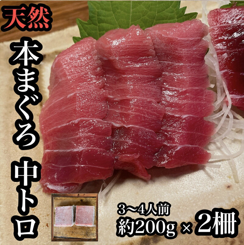 貴重な天然本鮪 中トロ 約200g 2柵 約3 4人前●くどくない上質な脂が美味しい!【とろ マグロ 惣菜 海鮮 お取り寄せ 御中元 お中元 お歳暮 父の日 母の日 贈り物 日本酒 焼酎】【神奈川県小田原市早川】