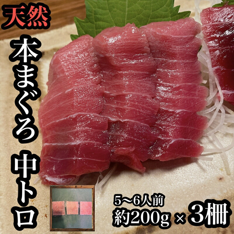 貴重な天然本鮪 中トロ 約200g 3柵 5 6人前●くどくない上質な脂が美味しい!【とろ マグロ 惣菜 海鮮 お取り寄せ 御中元 お中元 お歳暮 父の日 母の日 贈り物 日本酒 焼酎】【神奈川県小田原市早川】