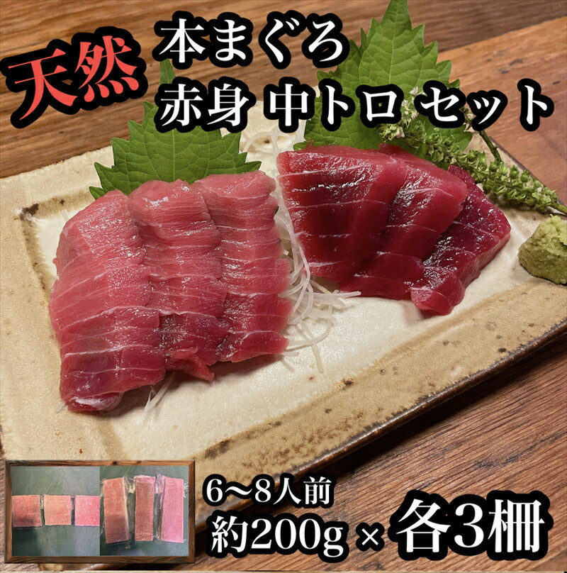 貴重な天然本鮪 赤身 約200g 中トロ 約200g 各3柵ずつ 6 8人前●赤身はマグロの中心部天身を使用!中とろの脂はくどくない上質な脂!【赤身 天身 惣菜 海鮮 お取り寄せ 御中元 お中元 お歳暮 父の日 母の日 贈り物 日本酒 焼酎】【神奈川県小田原市早川】
