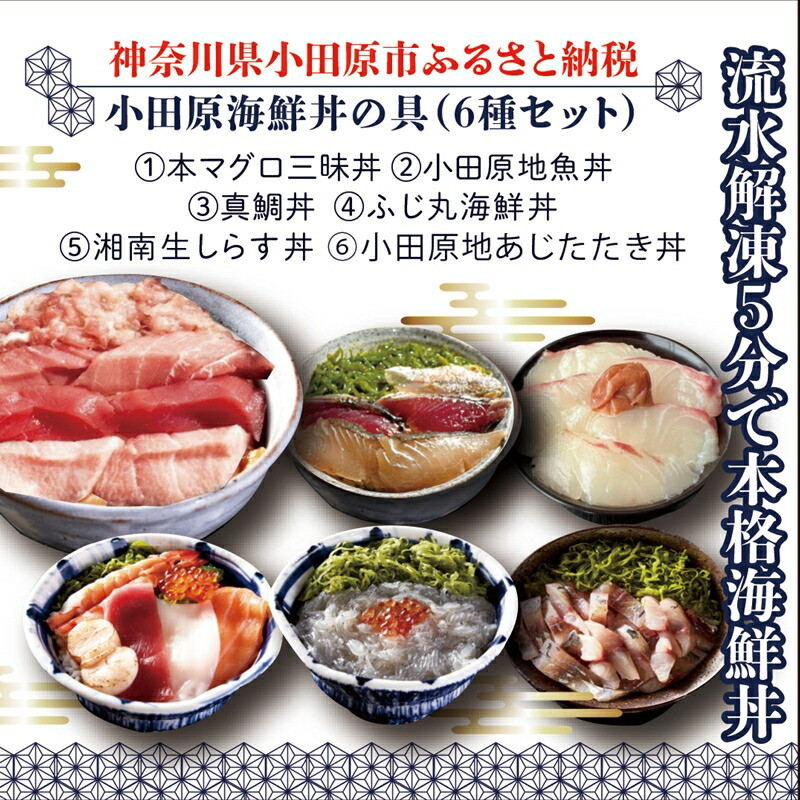 【高級食材本マグロ、曽我の梅干し、小田原地あじ、小田原港直送地魚丼、大磯港直送、湘南生しらす】小田原海鮮丼の具（6種セット）【本まぐろ丼 小田原地魚丼 小田原地あじたたき丼 国産活〆真鯛入り酒仕込み 神奈川県 小田原市 】