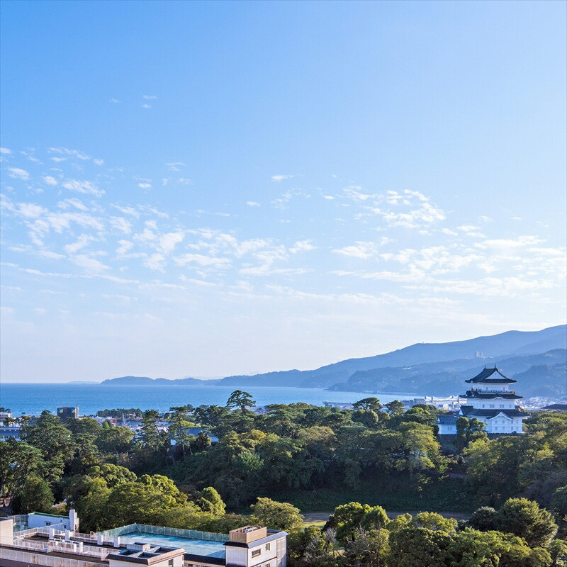 土日祝日OK!1泊2食付宿泊プラン1名様◆天然温泉浴場ご利用含む◆【 チケット 神奈川県 小田原市 】