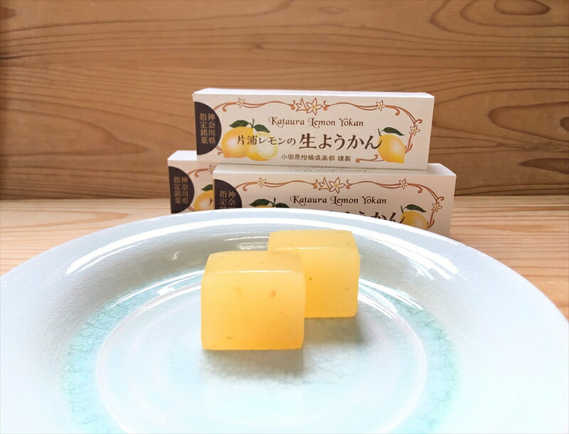 小田原老舗和菓子店の手づくり片浦レモンの生ようかん【和菓子店 手作りようかん 片浦レモンの生ようかん  職人の手作り 神奈川県指定銘菓 レモン 和スイーツ   神奈川県 小田原市 】