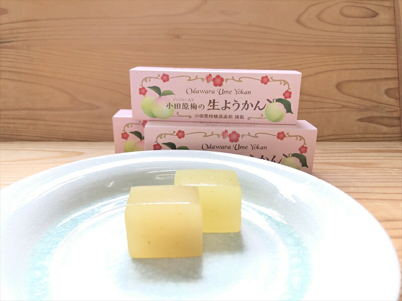 小田原老舗和菓子店の手づくり小田原梅の生ようかん【和菓子店 手作りようかん 小田原梅の生ようかん  職人の手作り 銘菓 梅 和スイーツ  神奈川県 小田原市 】