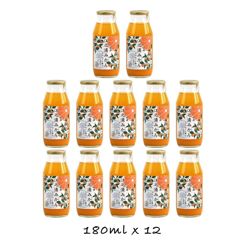 小田原産江之浦みかん100%ストレートジュース180ml12本