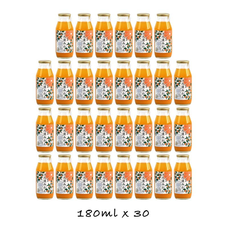 【定期便 3回】 小田原産江之浦みかん100%ストレートジュース180ml30本