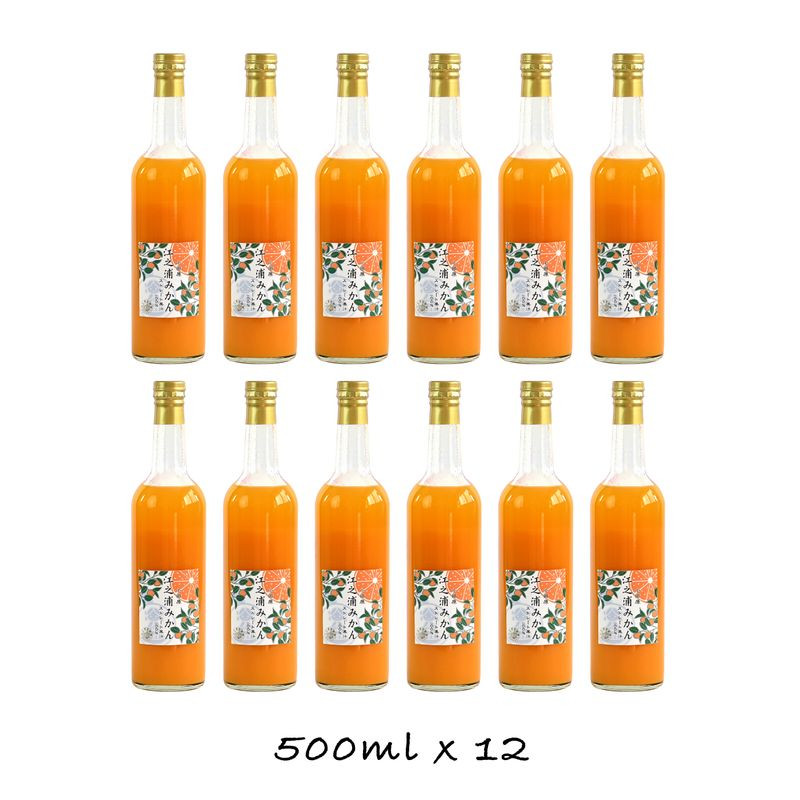 小田原産江之浦みかん100%ストレートジュース500ml12本