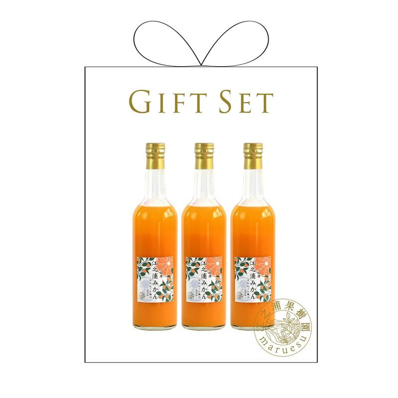 ギフトセット500ml3本入り 小田原産江之浦みかん100%ストレートジュース500ml3本