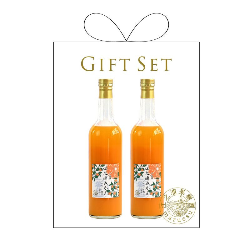 ギフトセット500ml2本入り 小田原産江之浦みかん100%ストレートジュース500ml2本