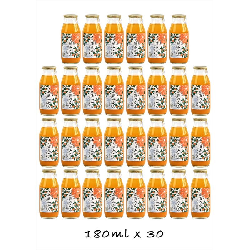 【定期便 (2カ月ごと全4回)】小田原産江之浦みかん100%ストレートジュース180ml30本