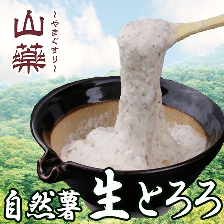 [ふるさと納税]自然薯の味をお楽しみください。自然薯生とろろ100g×5pセット[ 野菜 神奈川県 小田原市 ]