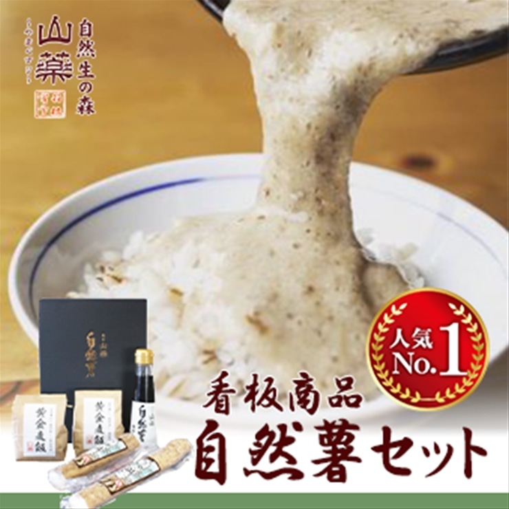 [ふるさと納税]お店の味をご家庭で。[箱根自然薯の森 山薬]自然薯セット(2〜3人前×2回分) [ 野菜 神奈川県 小田原市 ]