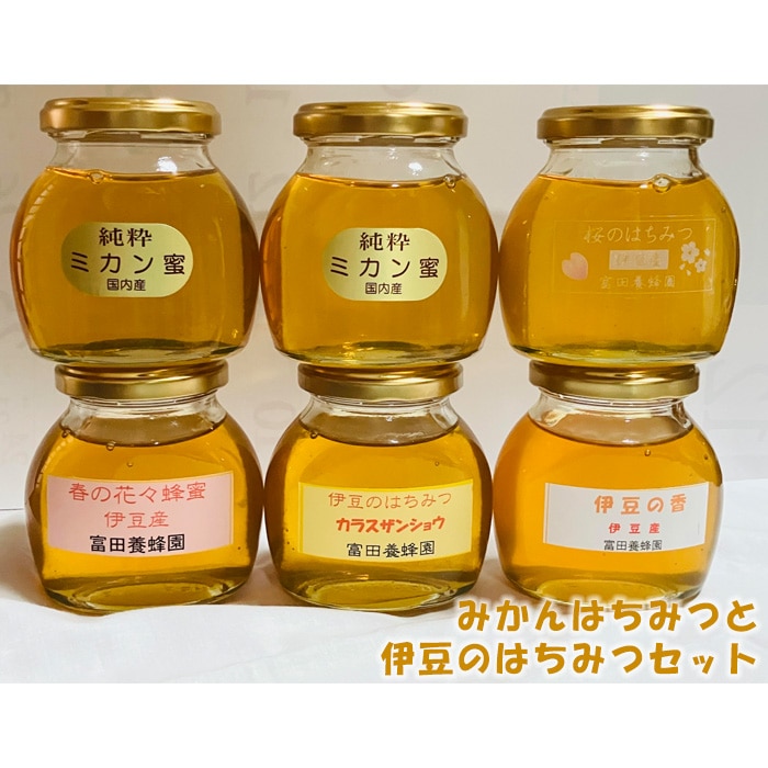 富田養蜂園　みかんはちみつと伊豆のはちみつセット（200g×6本）