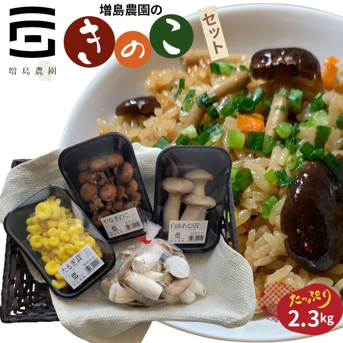 増島農園のきのこセット