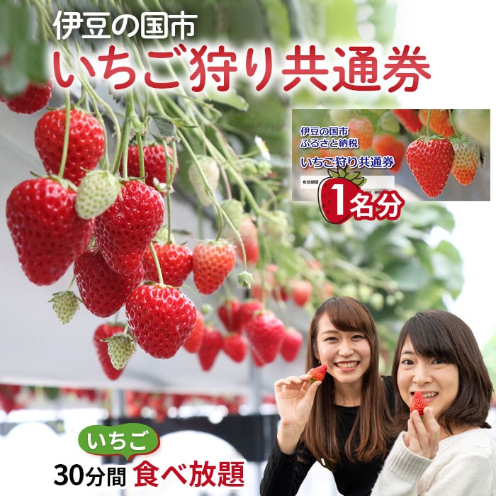 伊豆の国市いちご狩り共通券(1名様分)