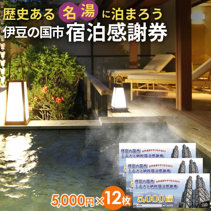 伊豆の国市宿泊感謝券（5000円×12枚）